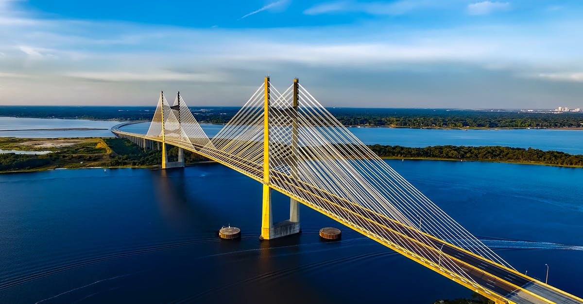 What was the point of the bridge scene? - Aerial View Photography of Bridge