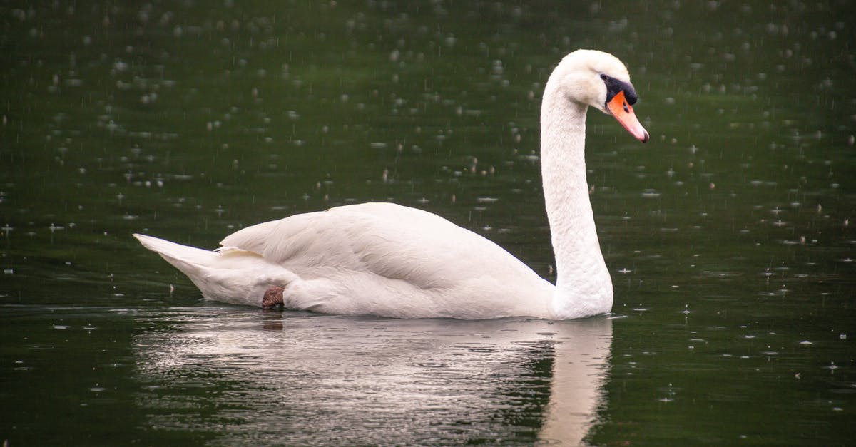What was the point of the origami Swan being dropped in the sewers by Michael? - White Swan Swimming on a Lake