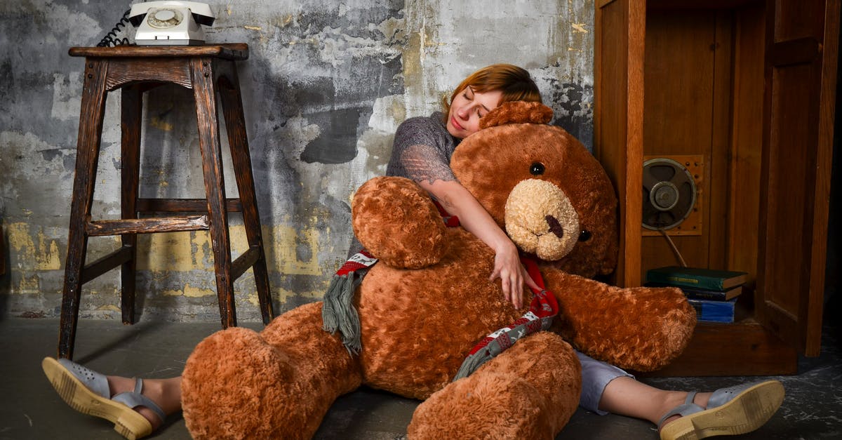 What was the purpose of the ciphers in the Big Sleep? - Full length young female hugging big plush toy bear and sitting with eyes closed and legs spread on floor