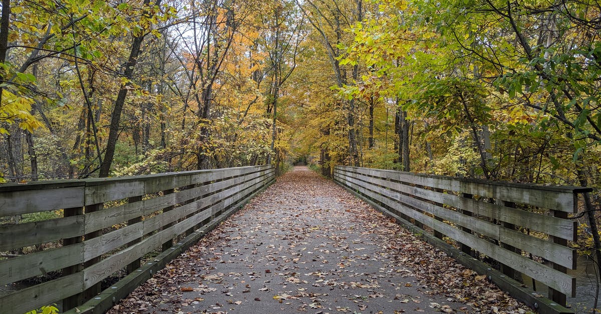 What was the significance in Laura tipping over the cross in Logan? - Perspective view of wooden footbridge over streaming river amidst yellow trees in autumnal park