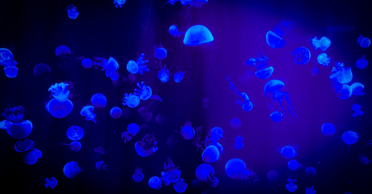 What was the significance of overemphasis of conservation of resources posters? - Jelly Fish With Reflection Of Blue Light