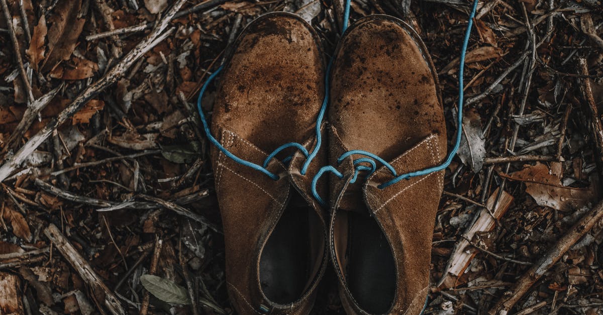 What was the significance of two different shoes worn in Peaceful Warrior? - Brown Leather Shoes on Brown Dried Leaves