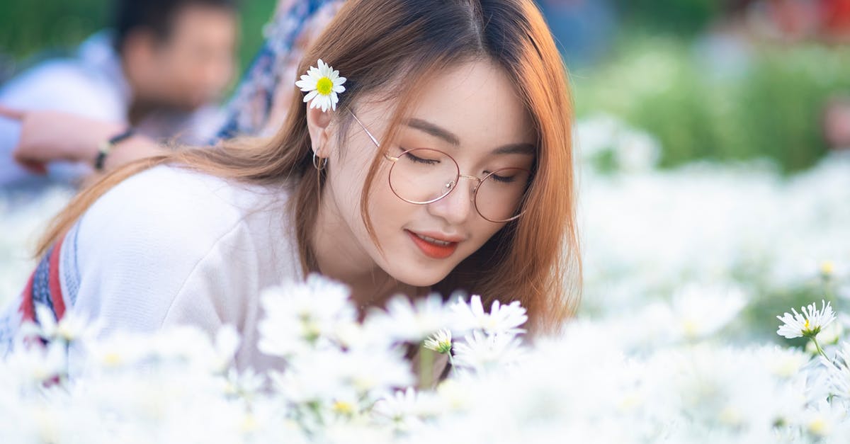 What was Tom's position about Daisy in The Great Gatsby? - Serene young Asian female with daisy in hair bending down with eyes closed and smelling fragrant tender chamomile flowers in sunny park