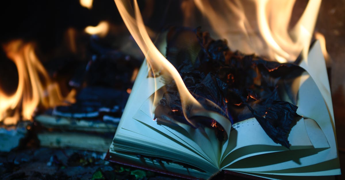 What were the books being burnt in Jojo Rabbit? - Burning Book Page