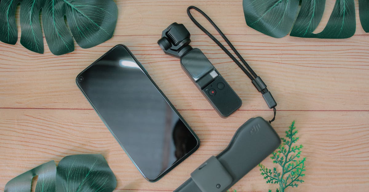 What were the last set of flashes of memory about? - Top view composition of mobile phone placed near USB flash drive and mini gimbal camera on wooden table with green foliage