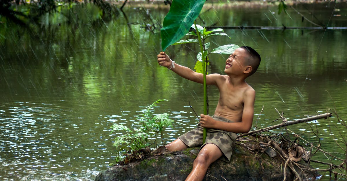 What would have happened if their life runs out in Jumanji: Welcome to the Jungle? - Asian little boy in shorts sitting on stump in ponder squinting eyes with lotus leaf under rain
