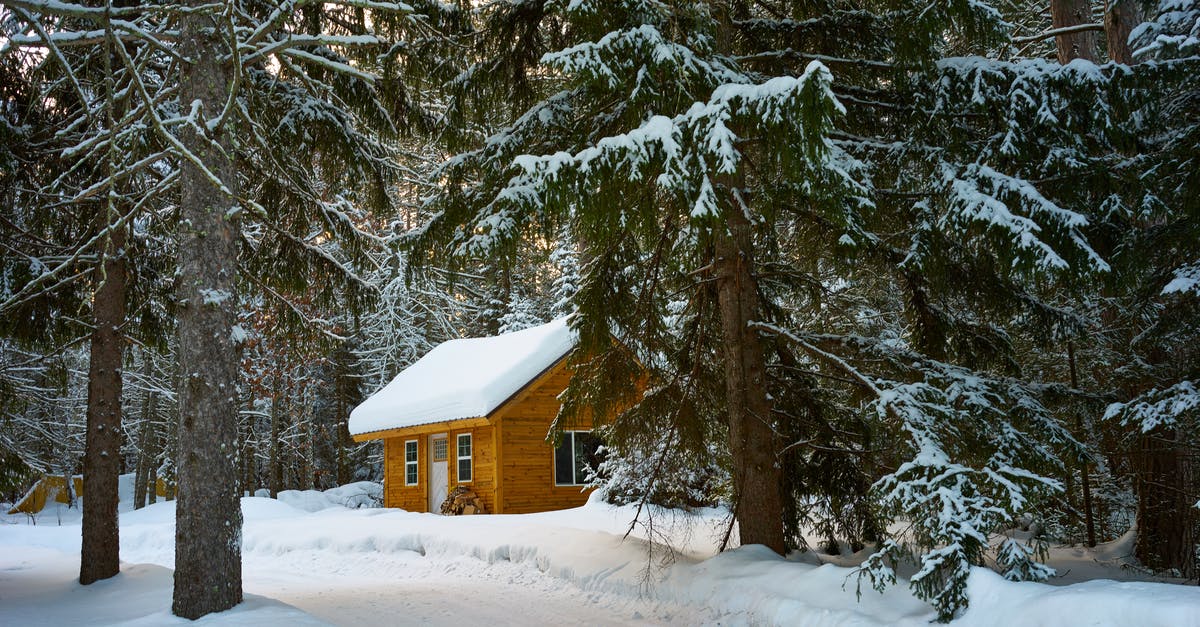 When did Kristoff Learn about the Cabin in Frozen? - Brown House Near Pine Trees Covered With Snow
