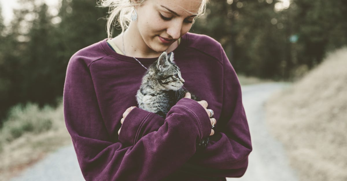 When Jack Torrance is frozen, why is he looking up? - Selective Focus Photography of Woman Wearing Purple Sweater Holding Silver Tabby Cat