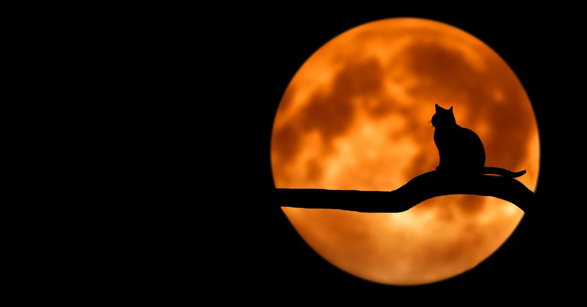 When were animal masks first used in horror or espionage in cinema? - Photography of Cat at Full Moon
