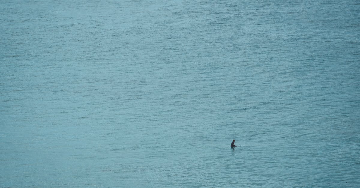 Where did Kraglin get a fin from? - Shark swimming in rippling blue ocean