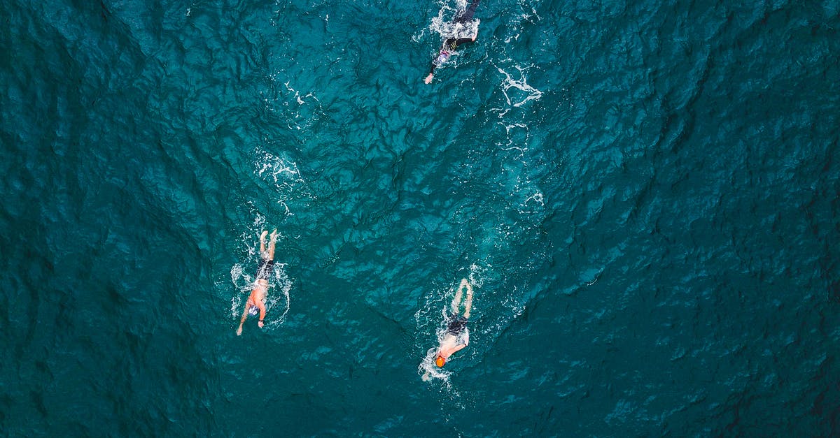 Where did the Elves go after the Helm's deep battle in LOTR? - Person Swimming on Ocean
