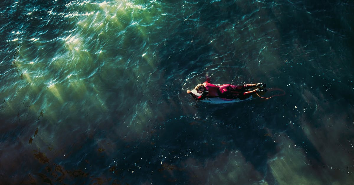 Where did the Elves go after the Helm's deep battle in LOTR? - Man on Surfboard Swimming in Water