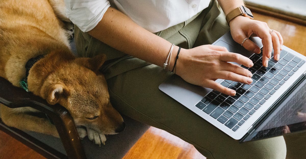 Where did the "dog" come from? - Crop unrecognizable woman working on laptop near adorable dog