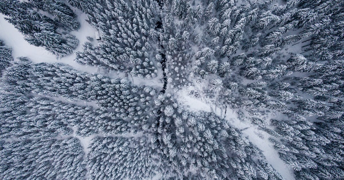Where did the snow in Hogsmeade come from? - Aerial Photography of Snow Covered Trees