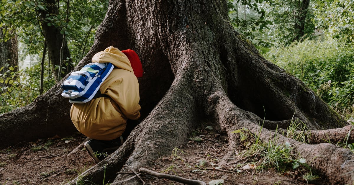 Where does The Undertaker hide? - A Kid in Yellow Jacket Sitting Beside the Tree Trunk