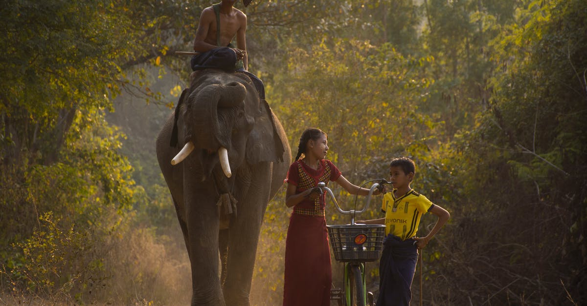 Where was "An Elephant Sitting Still" filmed? - A Boy Riding an Elephant