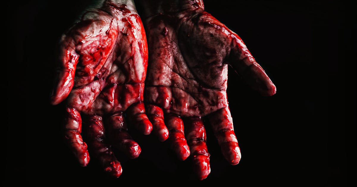 Which victims were the killers individually responsible for murdering? - Person's Hands Covered with Blood