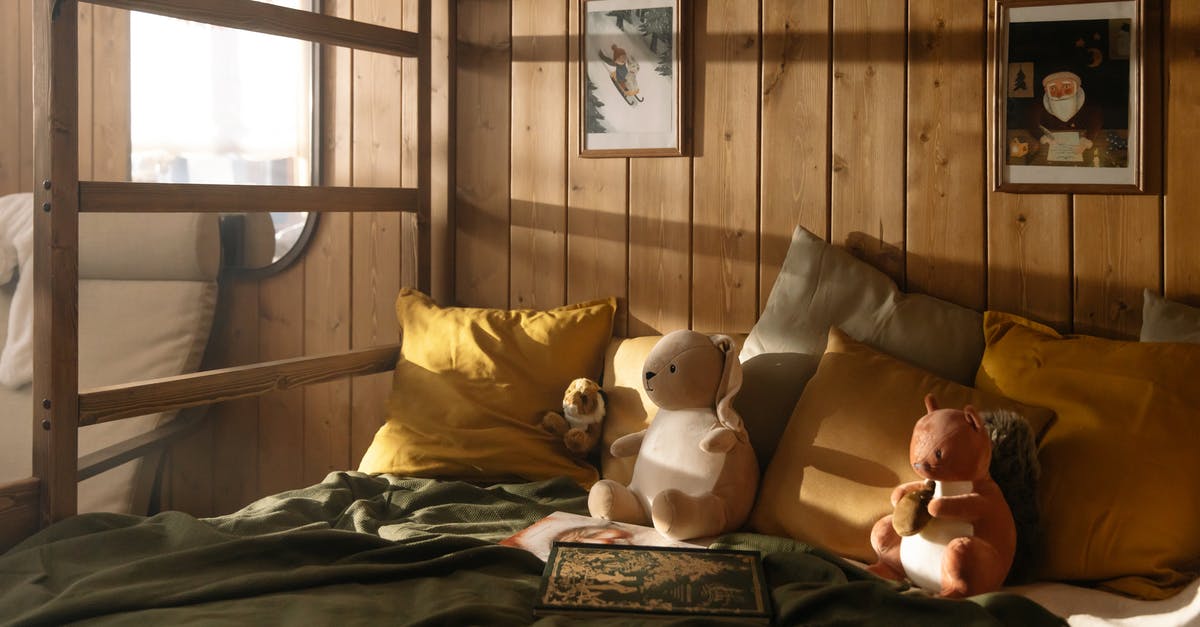Which was the first movie to conceal objects in a book? - Two Plush Toys on Bed