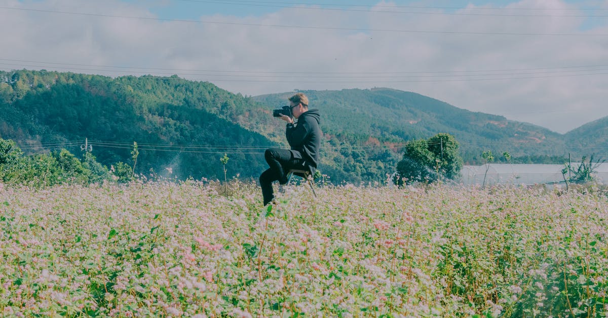 Who are Nick Fury and Maria Hill working for? - Man Sitting in the Middle of Flower Field Using Black Dslr Camera