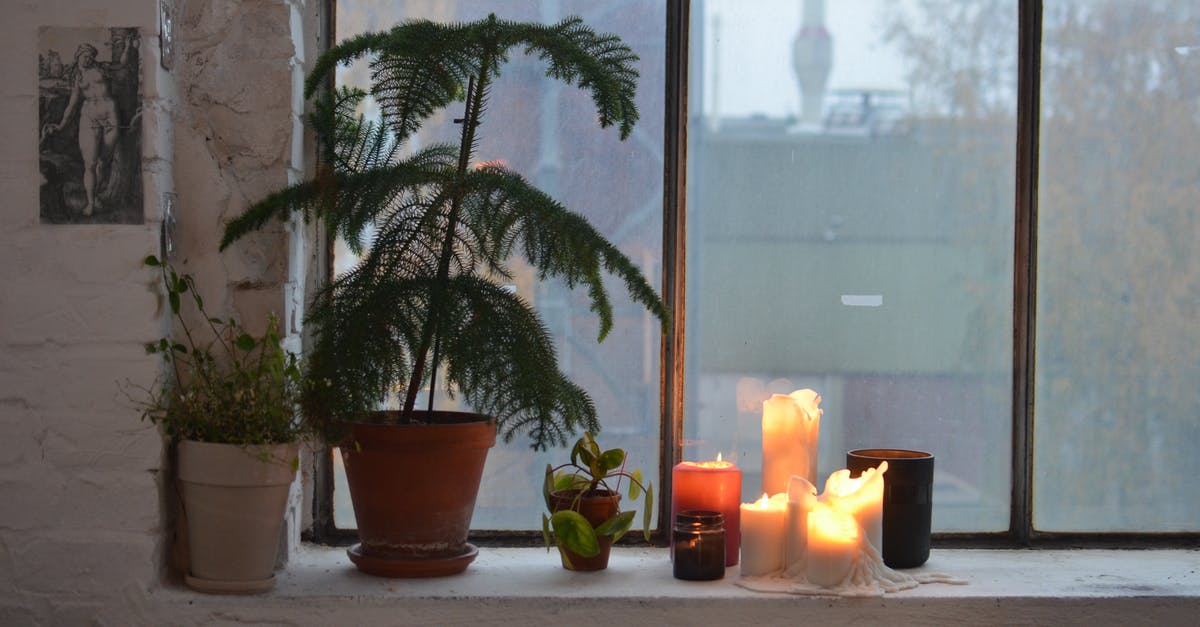 Who burned down the loft in 'Dynasty'? - Assorted plants and wax candles on windowsill at home