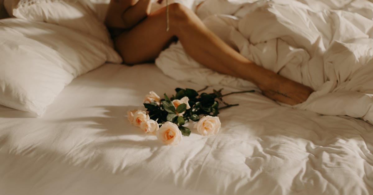 Who did Marcy D'Arcy sleep with at the end of "The naked and the Dead, but mostly the naked"? - Woman Sitting in a Bed With White Roses