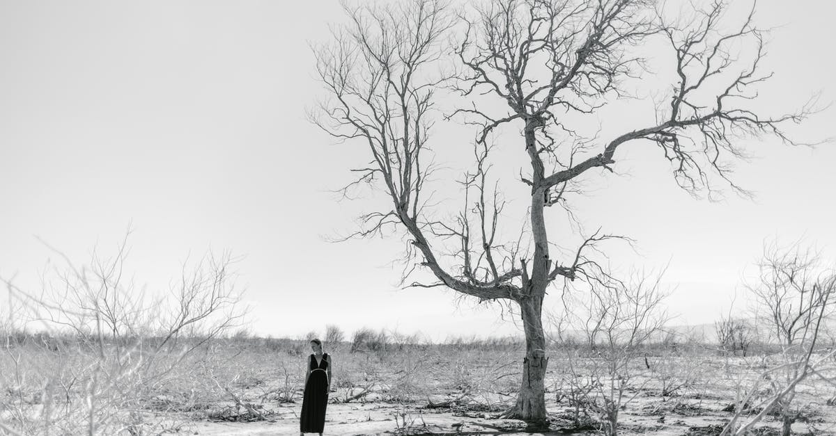 Who is the dead woman in the casket? - Woman standing in dry valley with leafless plants