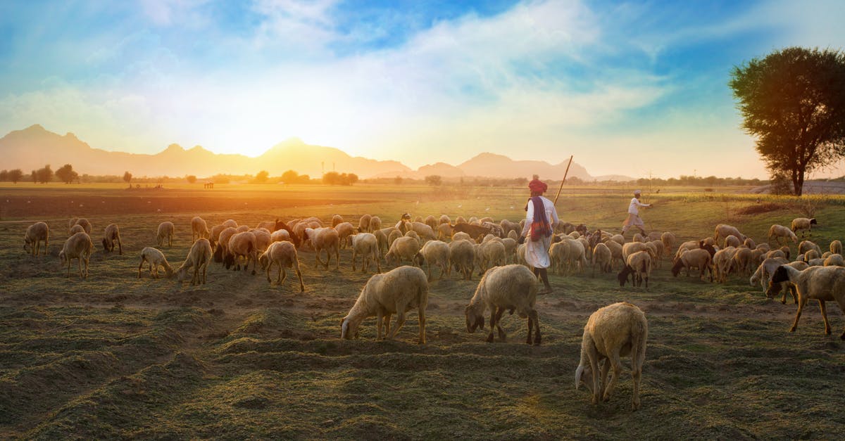 Who is the healing mutant in first Egyptian scene of X-Men: Apocalypse - White Sheep on Farm