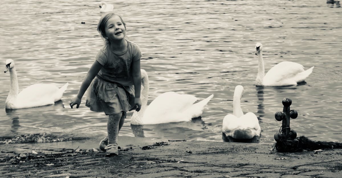 Who is the third girl in “Black Swan”? - Black And White Photo Of A Little Girl