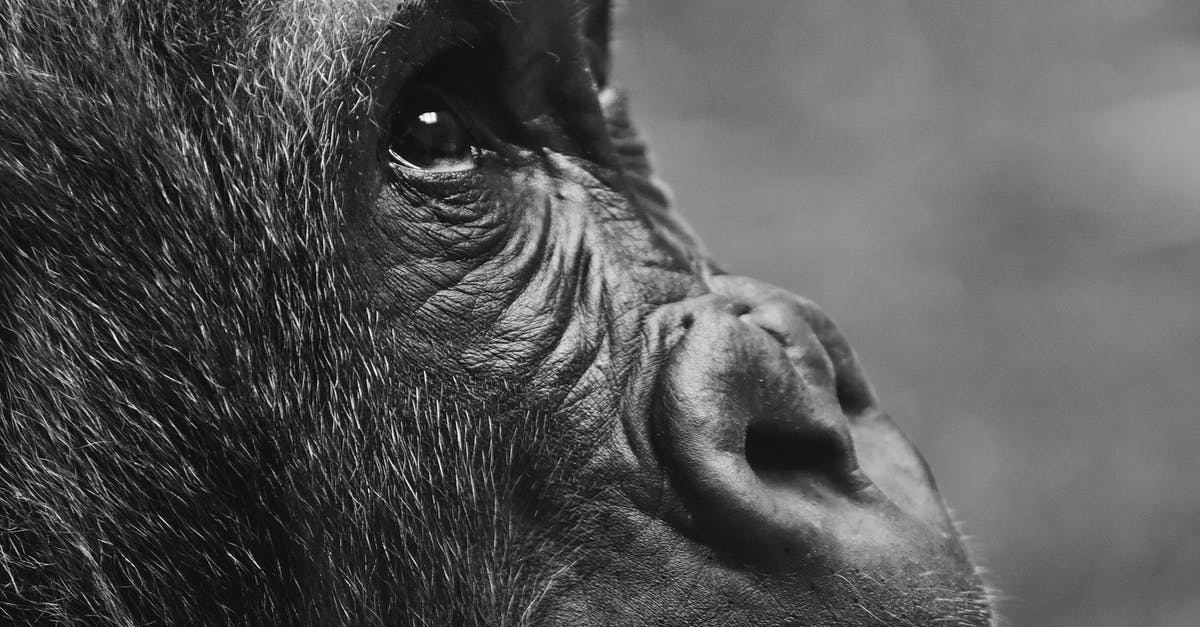Who is this actor? Talks out of the right side of his face [closed] - Black Gorilla in Close Up Photography