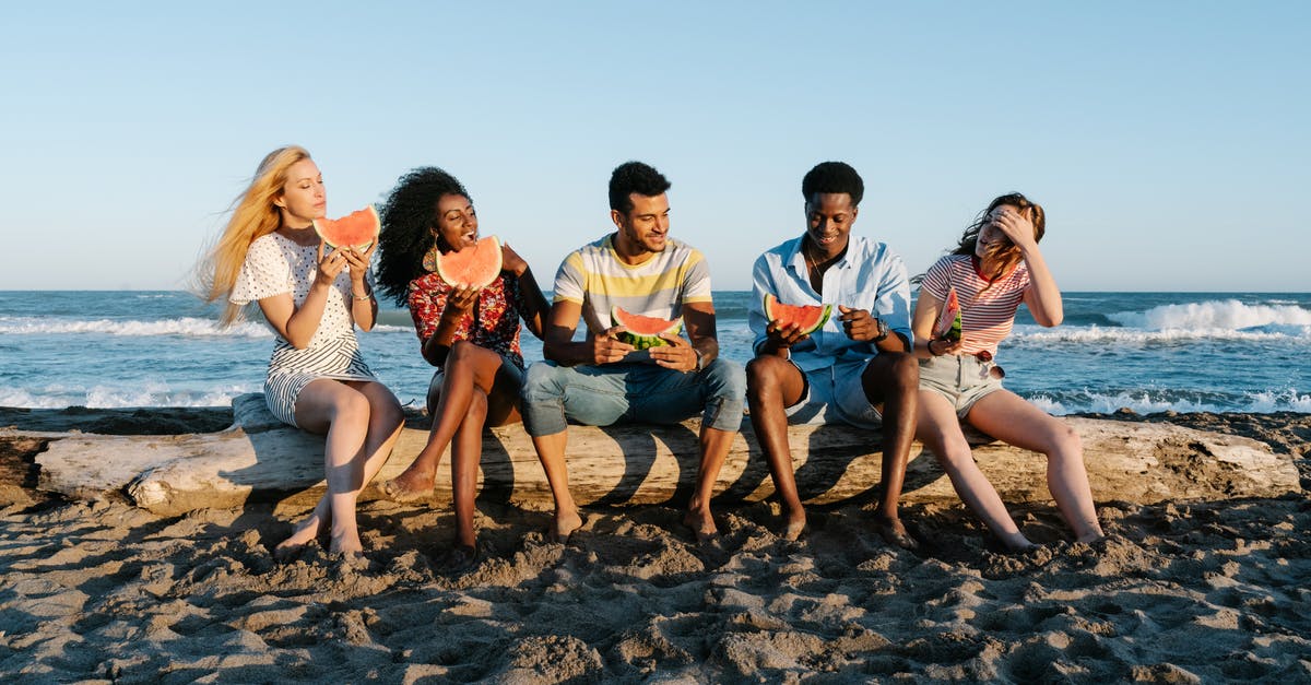 Who is this fallen member from Young Justice: Invasion? - Group of young smiling multiethnic partners eating delicious watermelon slices while sitting on fallen tree trunk on sandy ocean coast