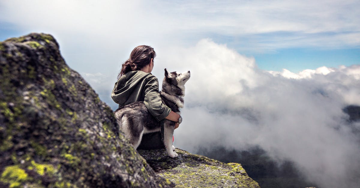 Who killed Fanny the dog and threw the stone? - Siberian Husky Beside Woman Sitting on Gray Rock Mountain Hill While Watching Aerial View
