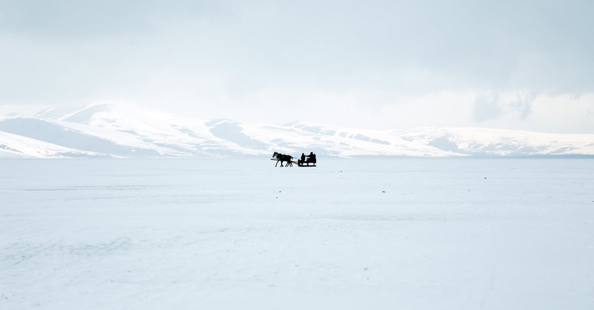 Who put the sled in the mountains at the end? -  Silhouette Of A Horse With Sled on Snow Covered Ground