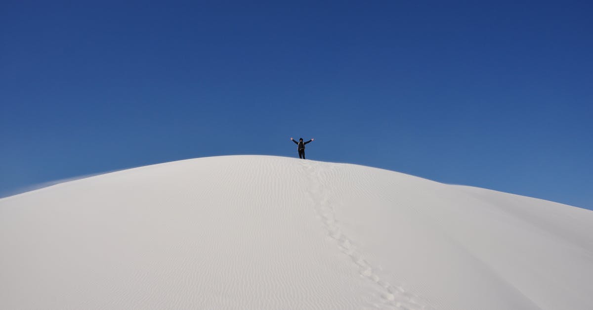 Who stands at the top of the mountain in The End (Fin)? - Person on Top of a Snow Covered Mountain