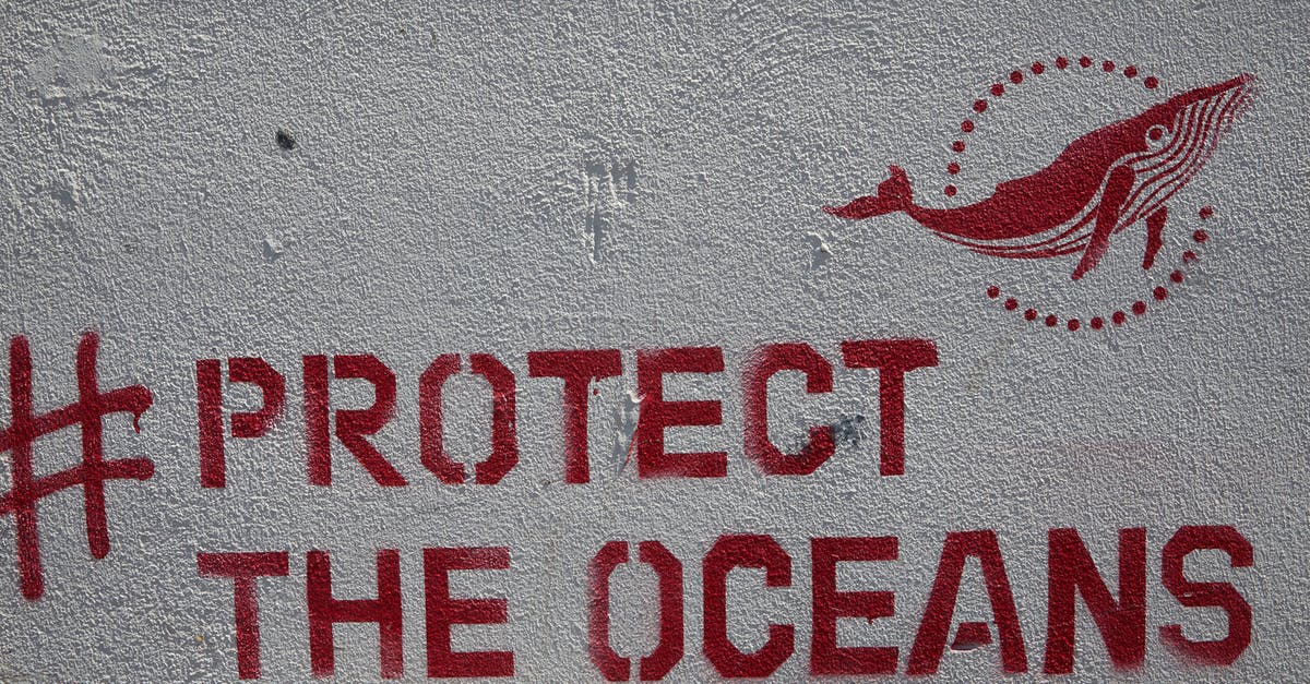 Whom or what is the whale supposed to symbolize? - Graffiti with inscription Protect the oceans placed on concrete wall