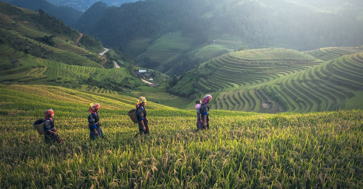 Why are humans considered a delicacy in the Land of Ooo? - People on Rice Terraces