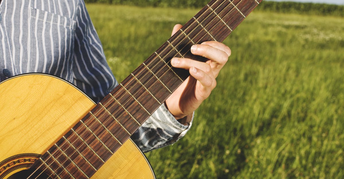 Why are humans considered a delicacy in the Land of Ooo? - Person Playing Guitar in Grass Field
