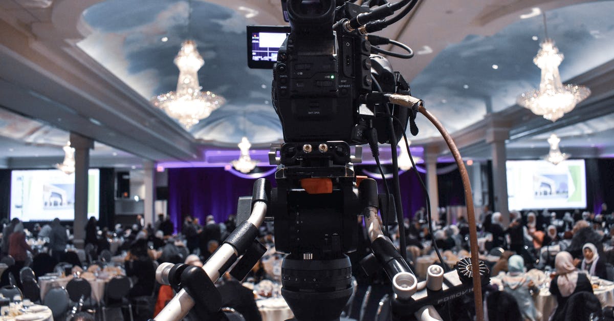 Why are real animals used in film production subject to the exposure of violence, 'slaughter' and abuse? - Professional video camera recording event in ballroom
