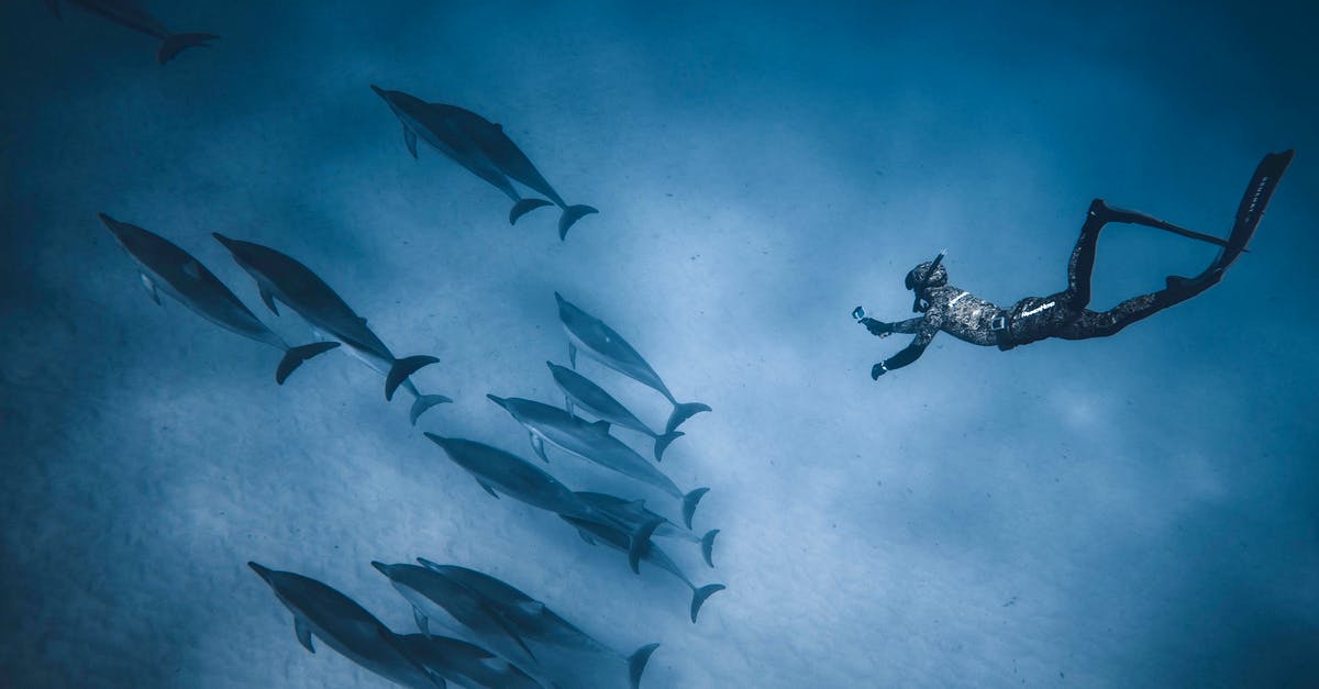 Why aren't there any animated movies of real life personalities? - Faceless diver swimming deep underwater near flock of dolphins