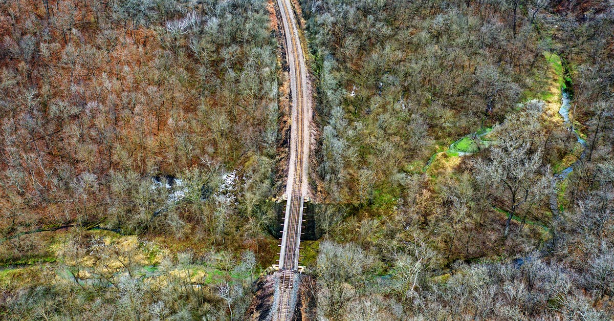 Why can't they track Luther's phone? - Train Track Between Green Trees Aerial Photography
