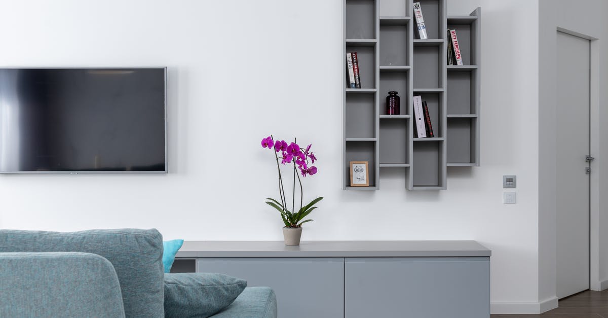 Why can't Walter White use a TV in New Hampshire? - Living room with comfortable sofa and TV near bookshelves and potted blooming flower in modern apartment with minimalist interior design