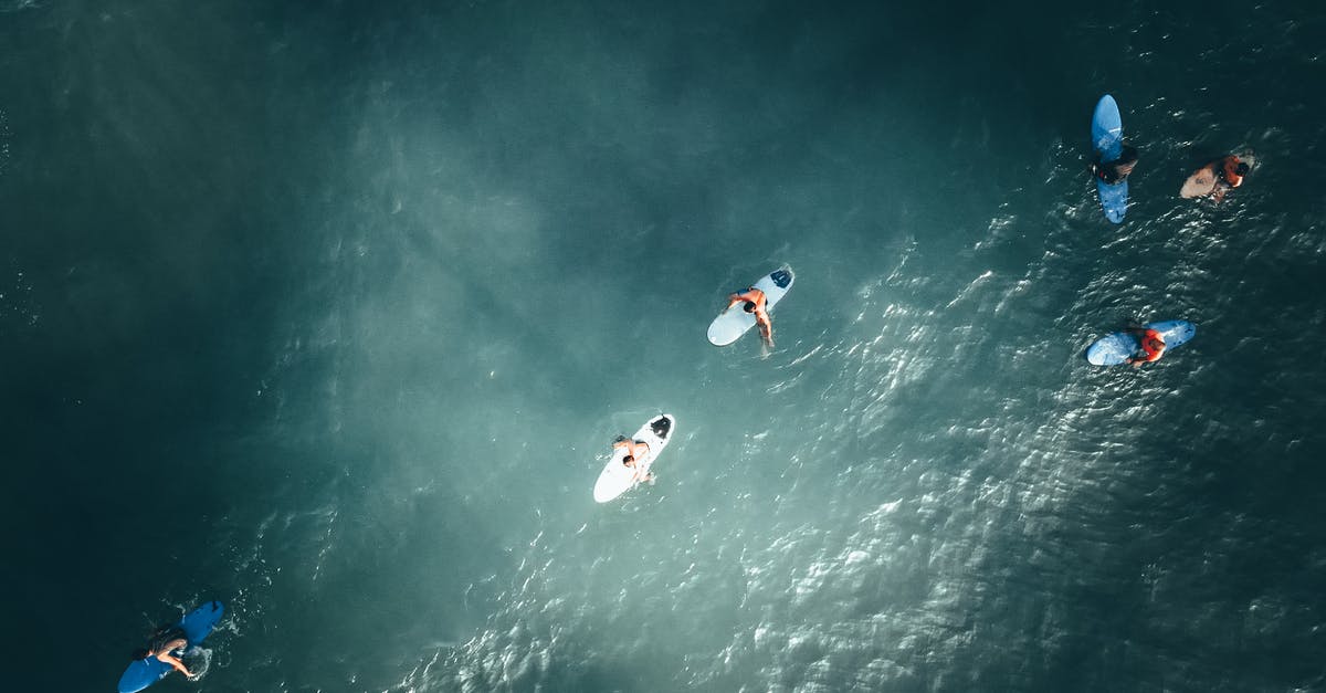 Why could the creatures in the Quiet Place hear the faintest sound from a large distance but couldn't spot a person a few feet from them? - From above of surfers on surfing boards floating in sea water on sunny day