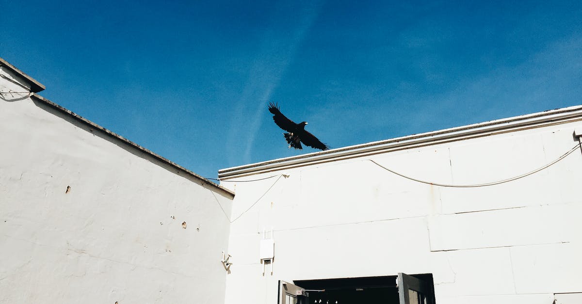 Why couldn't the black smoke fly away from the island? - From below exterior of white shabby building walls with glass door under blue cloudless sky with flying black bird in sunny day