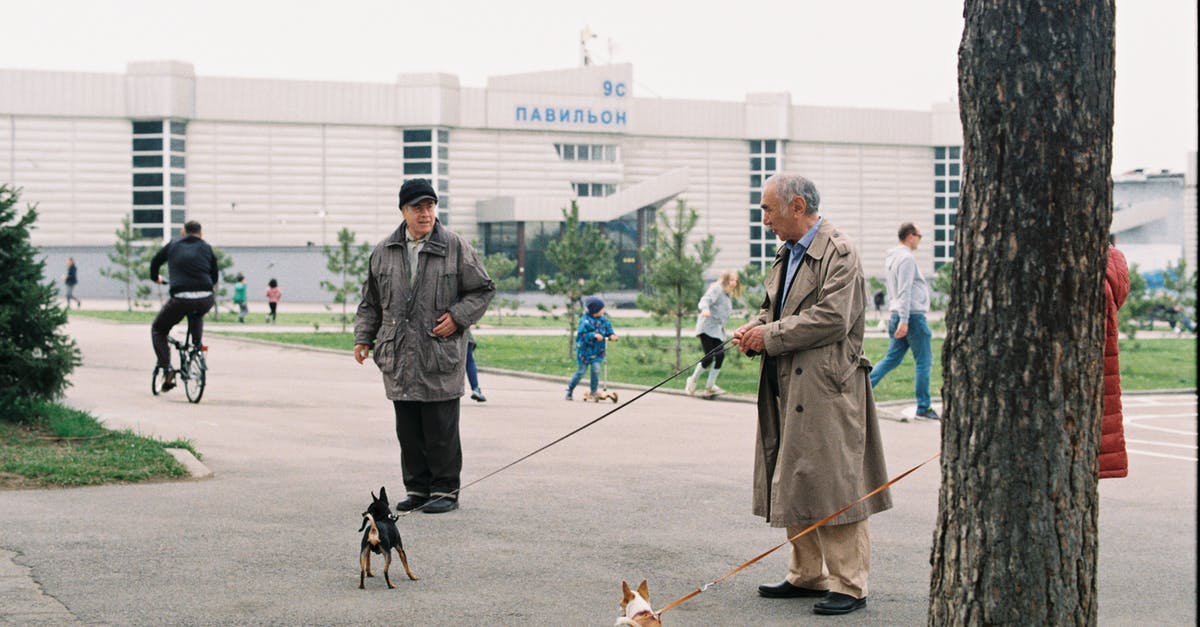 Why did Cecilia remove the leash on the dog? - Elderly Man Holding a Dog on a Leash