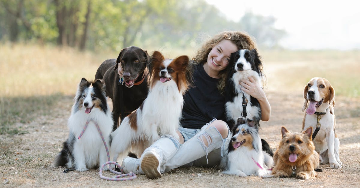 Why did Cecilia remove the leash on the dog? - Gentle smiling woman embracing purebred dogs while sitting on ground