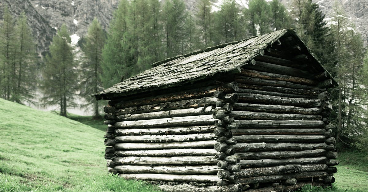 Why did Christopher abandon everything and go wild in "Into the Wild"? - Abandoned cottage made of logs located on green mountainous valley amidst evergreen trees
