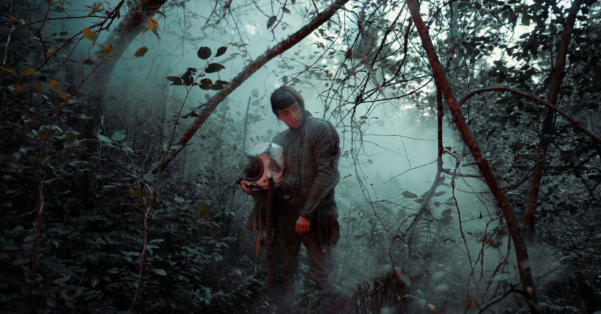 Why did Erik leave his Helmet at the end of DOFP? - Man in Gray Jacket and Black Pants Standing on Brown Tree Branch