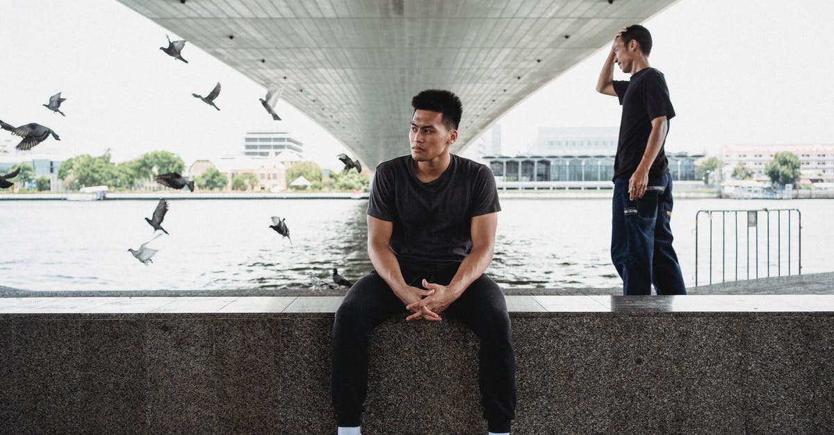 Why did Frankie Marino kill Nicky Santoro and his brother with such confidence - Serious Asian guy in black clothes and white sneakers sitting on stone embankment in front of friend standing under bridge near flying pigeons
