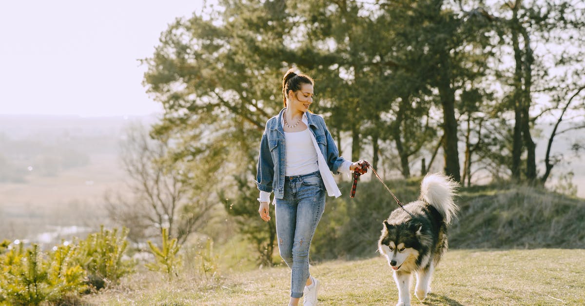 Why did Hank Hill call his dog Lady Bird? - Cheerful female in denim wear and sneakers leading Husky dog on leash during walk on grass on sunny day in back lit