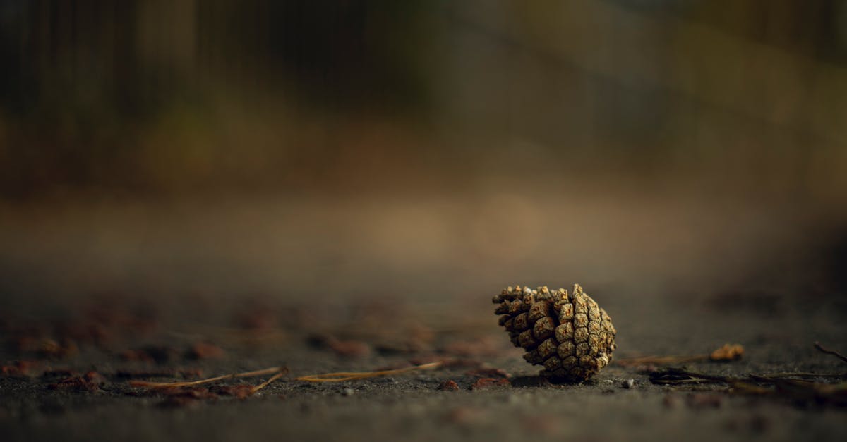 Why did he fall to the ground? - Free stock photo of add, autumn, baby