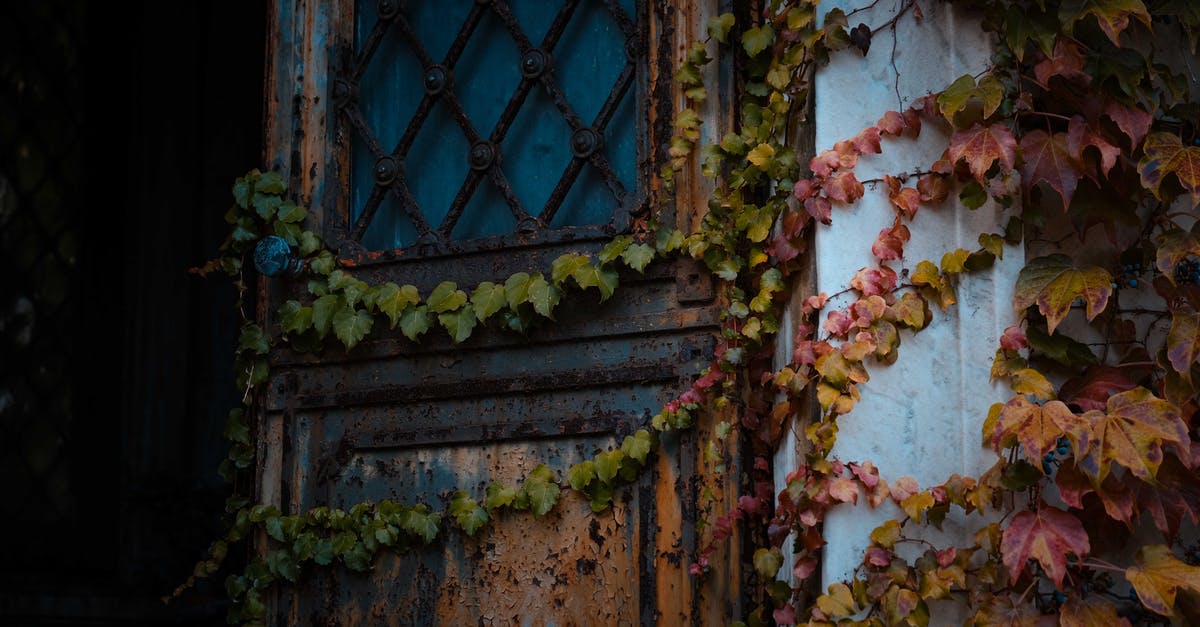 Why did Rose keep her old photographs out in the open in Get Out? - Low angle of weathered opened rusty door with metal handle of aged house covered with ivy